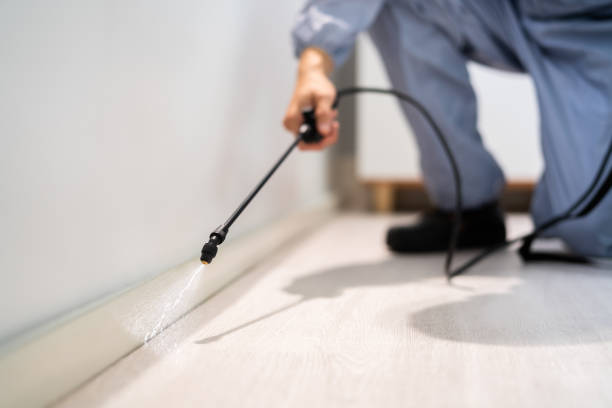 Licensed Termite Control service in Chilhowie, VA - Show Me Pest Control