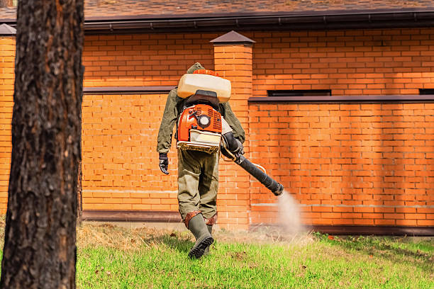 Bed Bug Clearance Verification and Documentation in Chilhowie